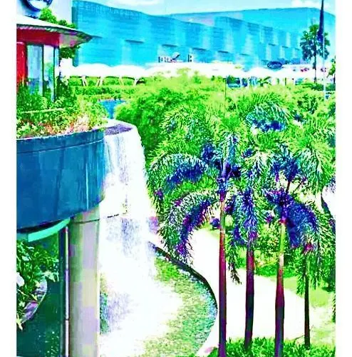 Grass Residences Traveller's Den Leisure Hotspot Manila